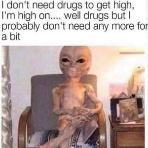 Meet your Posher, Leo